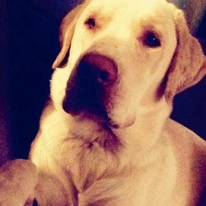 Meet your Posher, Nick